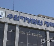 91억원 투자 사기범 징역 6년…보석 석방 후 도주했다가 붙잡혀