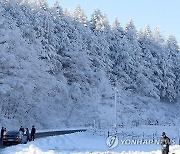 [날씨] "주말 추워요" 서울 낮에도 -3도…서쪽 중심 많은 눈