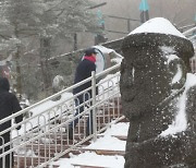 제주 대설·한파·강풍·풍랑특보…한라산 탐방로 통제