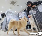 설레는 첫만남