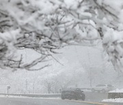 경북 대설·강풍주의보 속 문경에 6.2㎝ 눈…강풍피해 15건 접수(종합)