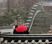 전북 곳곳에 많은 눈…순창 16㎝ 대설경보 격상