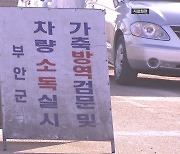 부안 오리농장 2곳 고병원성 AI 검출...전체 20건