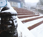 강풍·급변풍 경보 잇따른 제주… 항공편 43편 결항·166편 지연운항