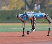 MIT ‘치타’ 제친 KAIST 로봇개, 100m 달리기 신기록