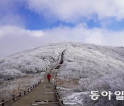 노고단에서 만난 순백의 세상… 음(陰)의 숲으로 초대[전승훈 기자의 아트로드]