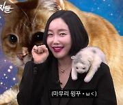 사기 결혼, 10억 원의 빚… 그럼에도 낸시 랭이 다시 일어설 수 있는 이유 [복수자들]