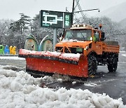 '겨울왕국' 된 강원...차량 전도에 나무 쓰러져 사고 속출