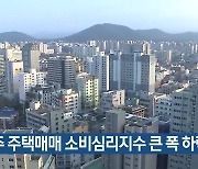 제주 주택매매 소비심리지수 큰 폭 하락