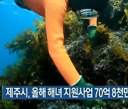 제주시, 올해 해녀 지원사업 70억 8천만 원 투입