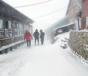 전국 덮친 대설·한파…항공기 14편·여객선 107척 결항