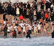 해운대 북극곰 축제