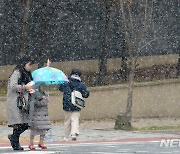 전국 곳곳 눈 펑펑…여객선·항공기 결항에 계량기 동파까지(종합)