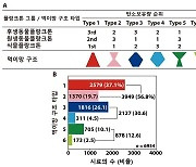 가장 높은 탄소 보유량 갖는 해양 플랑크톤 먹이망 구조 찾았다