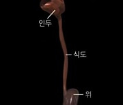 [위클리 건강] "증상도 없다가 갑자기 '식도암'…평생 술·담배가 화근"