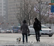 오늘은 비가 아니고 눈