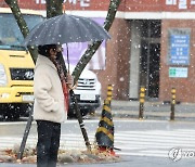 발걸음 재촉하는 눈