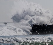 거센 파도에 눈 예보까지…속초해경, 정박 어선 안전 점검