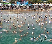 해운대 북극곰축제 3년만에 겨울바다 입수