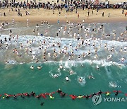 해운대 북극곰축제