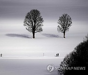 Austria Daily Life