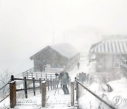 대설·한파로 계량기 동파 4건…항공기·여객선 결항(종합2보)