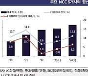 석유화학 내년에도 ‘보릿고개’ 이어져…“신사업 재무 부담도”