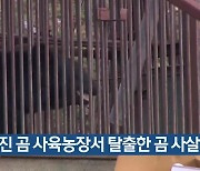 당진 곰 사육농장서 탈출한 곰 사살