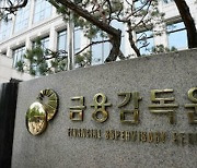 "고객 손실 수백억 돌려막기"…증권사들 '짬짜미' 대거 발각