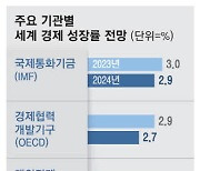 "대선 앞 美 '과격한 中정책' 최대 변수 세계경제 성장률 더 뒷걸음질 칠 우려"