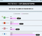 올해 이용자 급증한 앱 2위는 알리익스프레스...1위는?