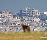 영국과 독일 외무장관, 공동으로 '지속가능 휴전' 촉구 [이-팔 전쟁]