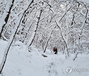 폭설 내린 예산 가야산