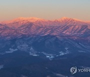 강원 영하권 강추위에 도로도 '꽁꽁'…미끄러짐 사고 잇따라