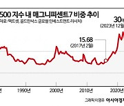 "올 75% 뛰었다"…매그니피센트7 6년간 몸집 두 배 불려