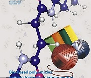 [과기원NOW] KAIST, 바이오 기반 폴리아마이드 최신 연구 동향 발표 外