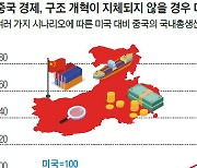 [특별 기고] 박기순 성균관대 중국대학원 교수 | 피크 차이나론을 바라보는 우리의 자세