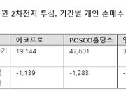 개인 외면하는 애증의 배터리株, 내년 '상저하고' 흐름 예상