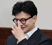 與 비대위원장 유력 한동훈, 기회인가 독배인가...본인 결심에 달렸다