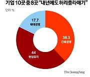 내년 경기 풀린다지만…기업 10곳 중 8곳 허리띠 안푼다