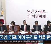 국민의힘, 김포 이어 구리도 서울 편입 추진