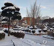 서산시청 앞은 설국