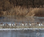 최강 한파…뭉쳐야 산다