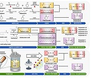 '나일론, 바이오 기반 생산'…시스템 대사공학 활용 전략 제시