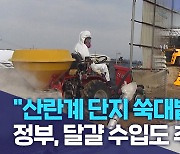 "산란계 단지 쑥대밭"..정부, 달걀 수입도 추진