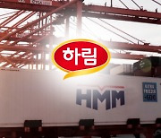 '고래 HMM 삼킨 새우' 하림...'승자의 저주' 피할까?