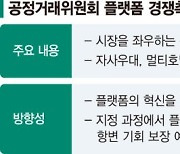 정부, 플랫폼 사전규제 초강수…"과도한 규제" 업계 강력 반발