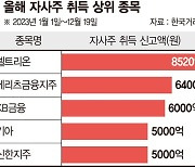 상장사 자사주 매입 늘었다… 주가 부양·경영권 보호