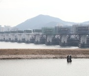 전국 하구 10곳 중 4곳 수변식생 건강 상태 ‘나쁨’