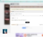 ‘웹소설’ 2만 7천부 불법 공유…5백 억 피해